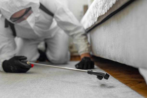 Professional Termite Control technician working in Brandon, FL