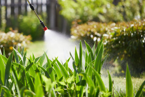 24/7 Emergency Termite Control experts in Brandon, FL