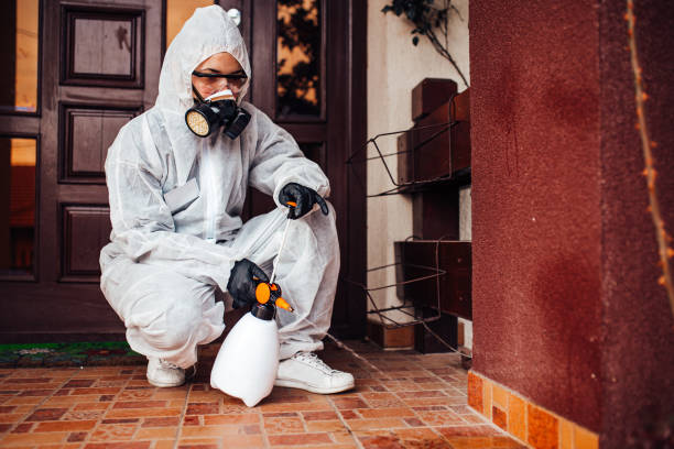 Reliable Termite Control contractor in Brandon, FL by Nex Pest Control